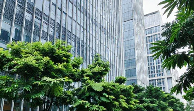 商务代理合规管理难点及应对策略，提升业务操作规范性